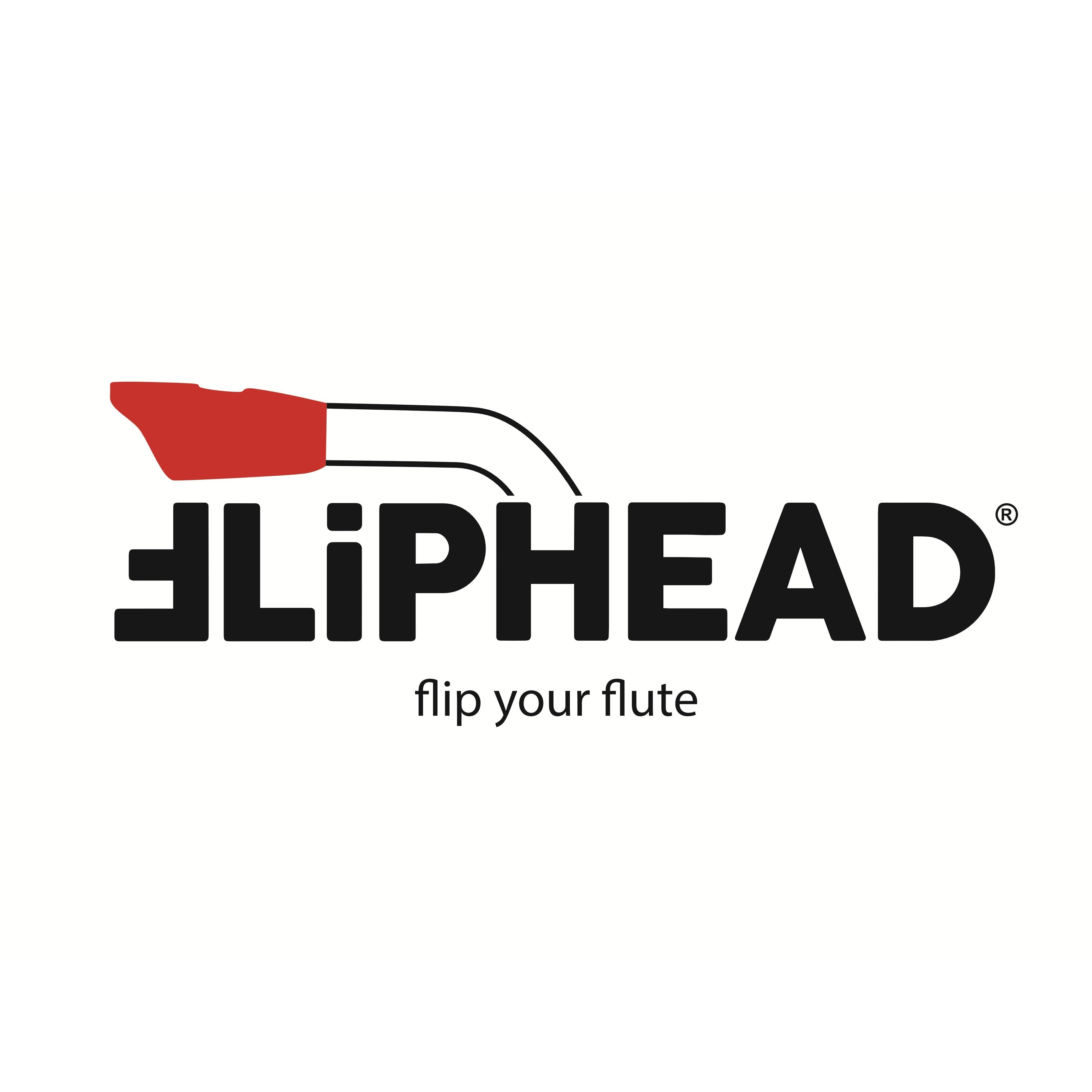 Fliphead