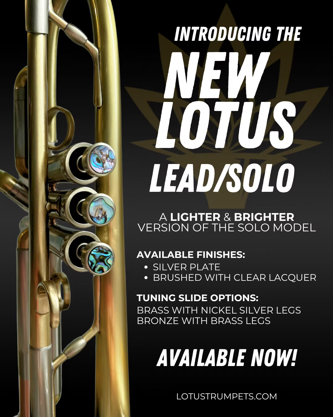 Lead/Solo trumpet
