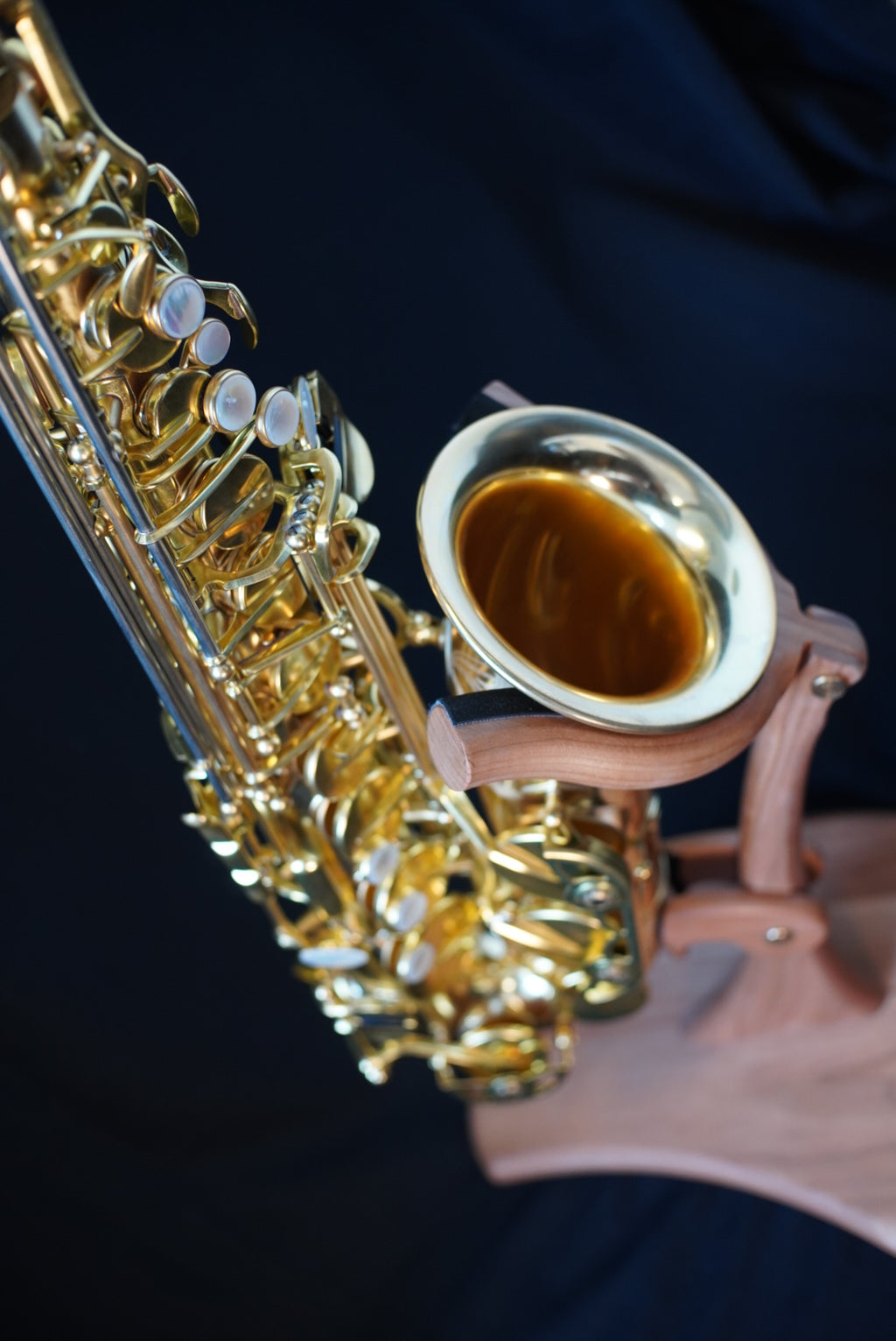 Forestone RX Alto Sax - Red Brass, Unlacquered