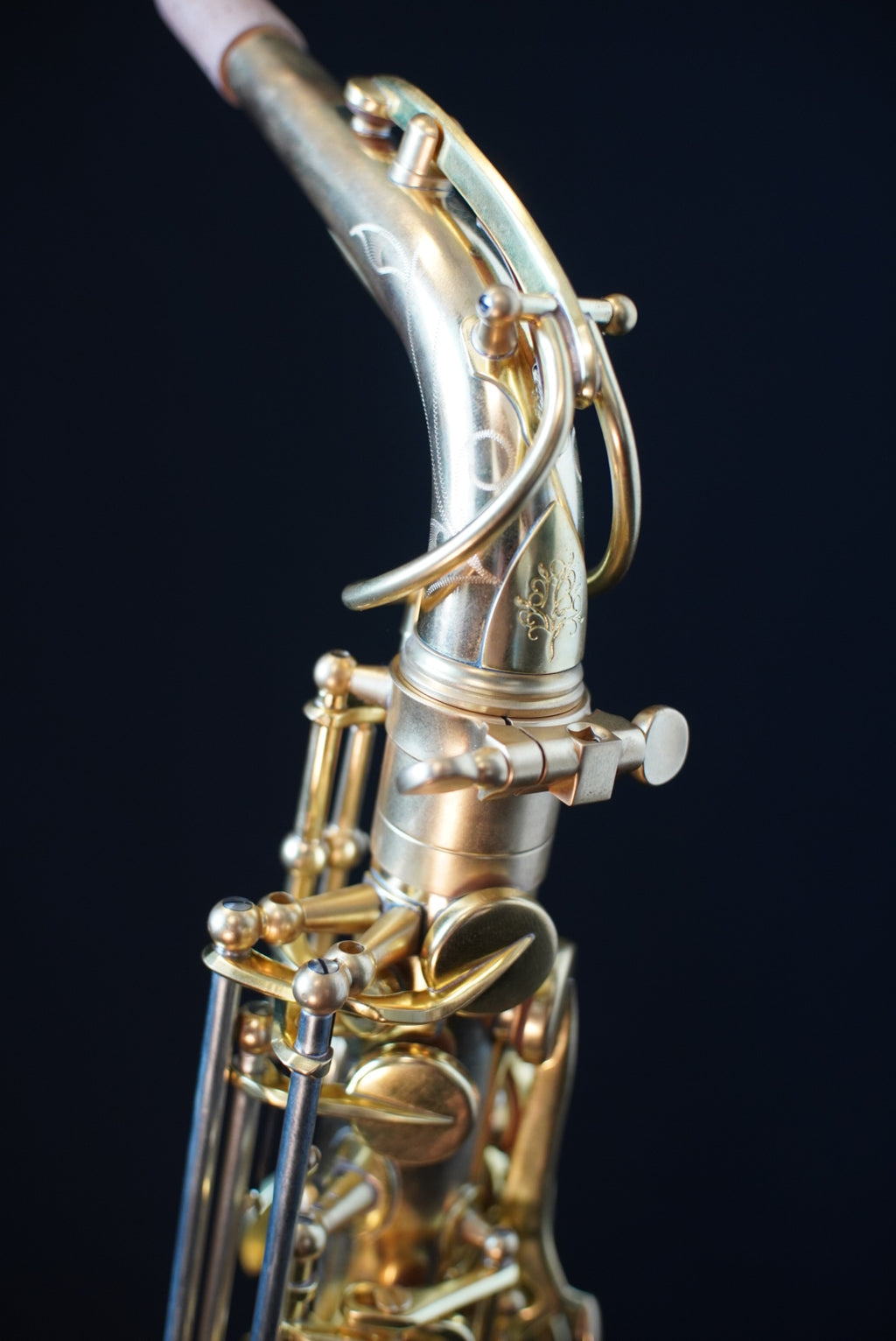 Forestone RX Alto Sax - Red Brass, Unlacquered