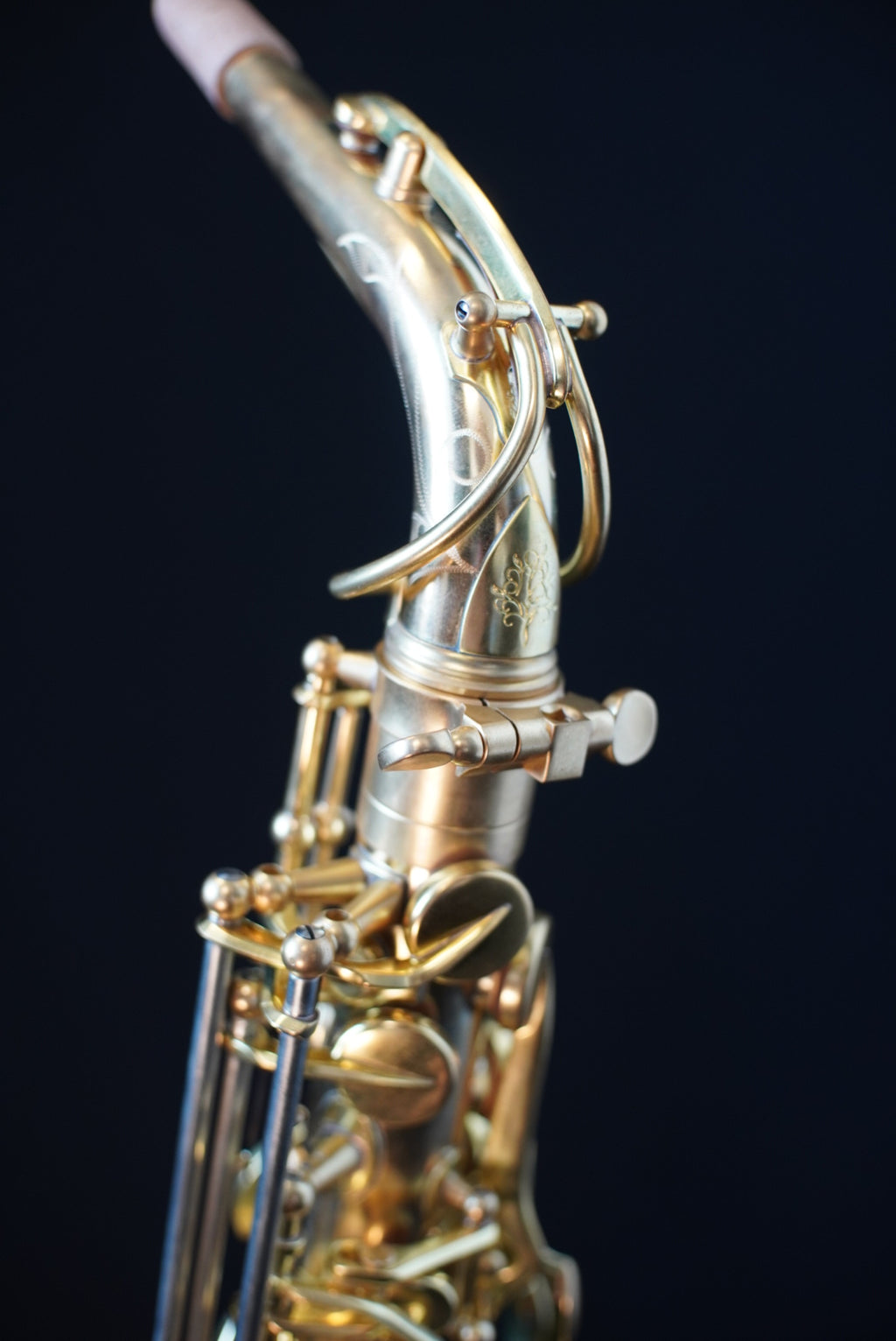 Forestone RX Alto Sax - Red Brass, Unlacquered