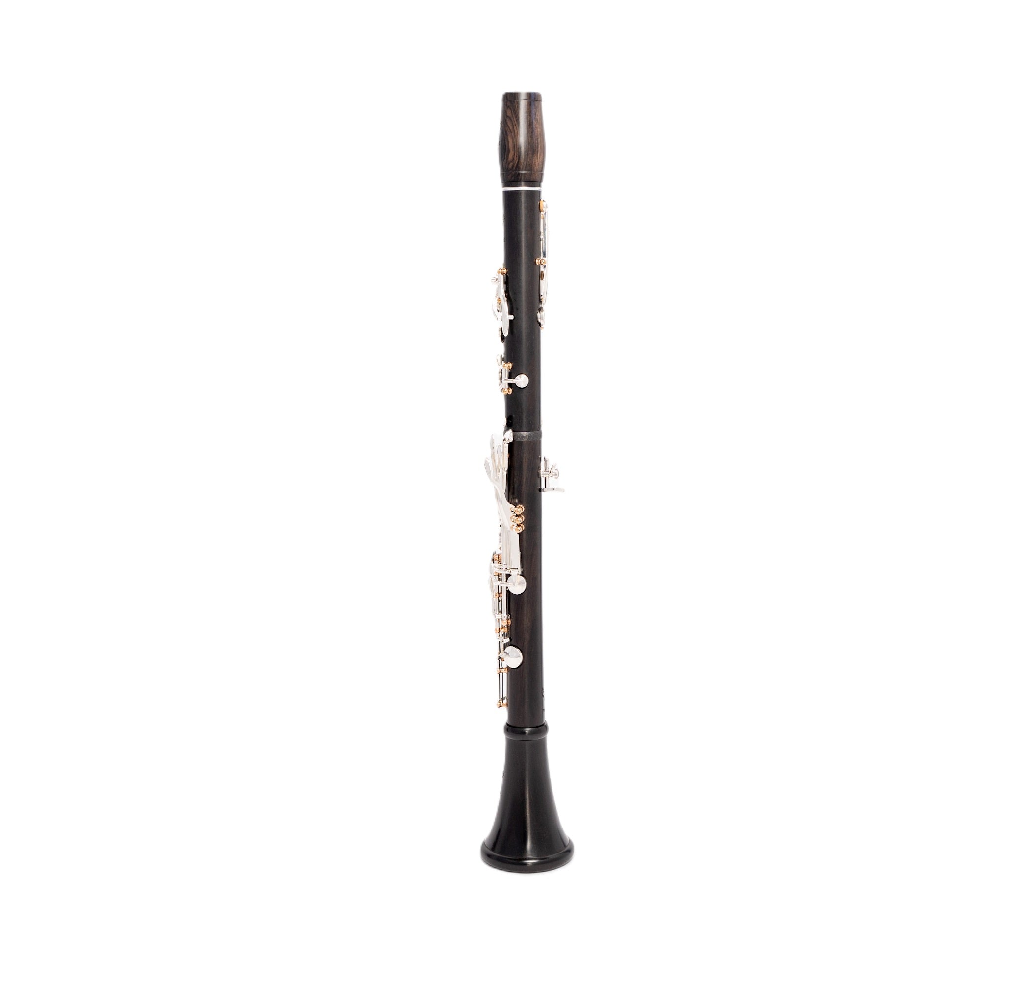 Royal Global Firebird Professional Clarinet | Wind Instrument Proshop