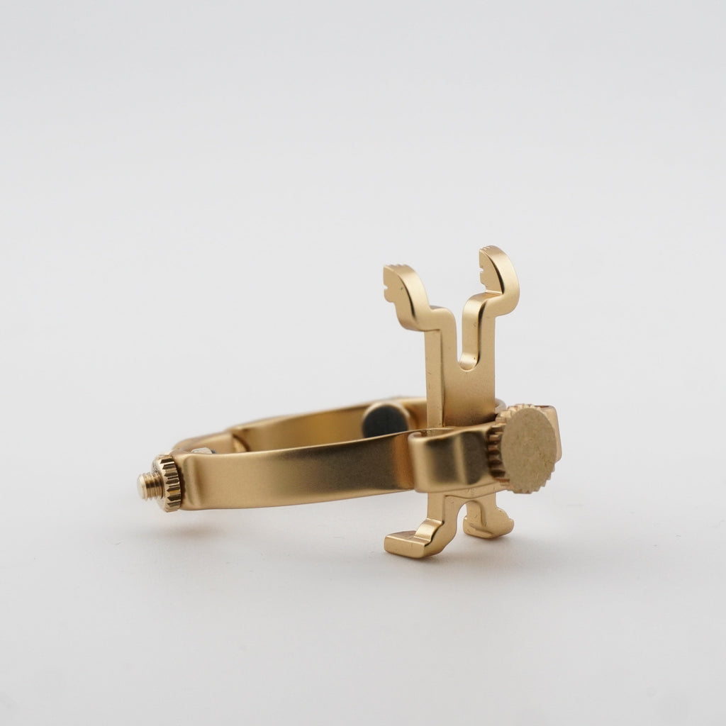 The JLV Ligature