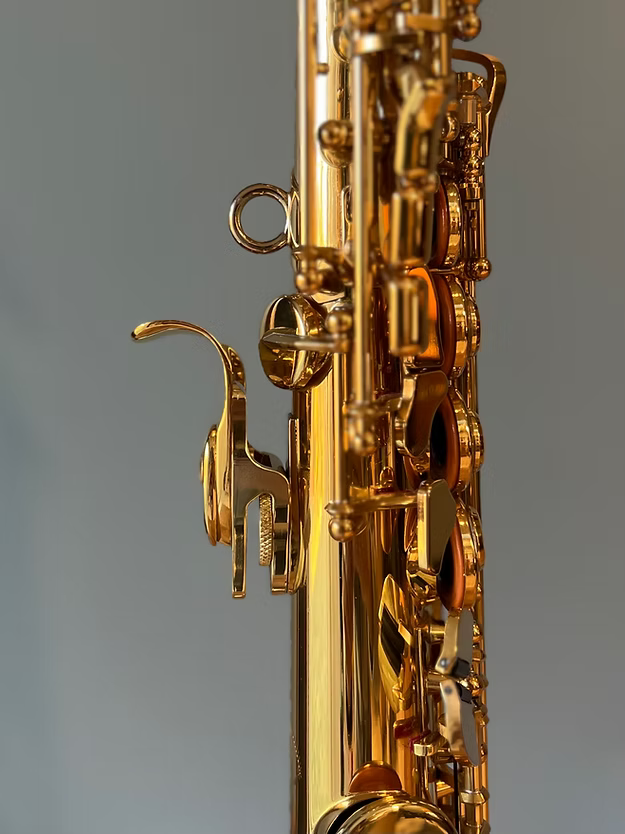 Lagan Wrist Saver Alto/Tenor/Bari - Wind Instrument Proshop